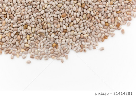 ホワイトチアシード:White Chia Seeds ホワイトチアシード:White Chia Seeds 21414281