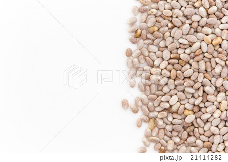 サルバチアシード:Salba Chia Seeds サルバチアシード:Salba Chia Seeds 21414282