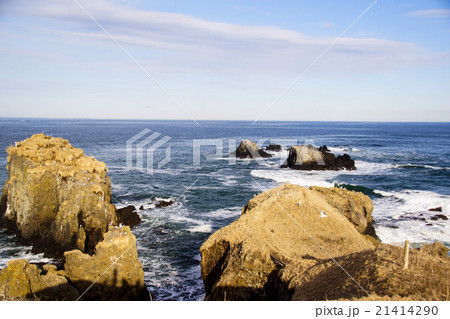 霧多布岬　湯沸岬　（浜中町） 21414290