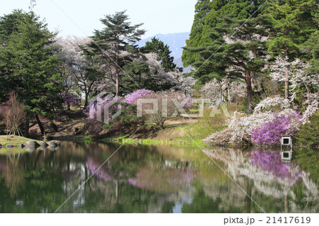 馬見塚公園の桜 21417619