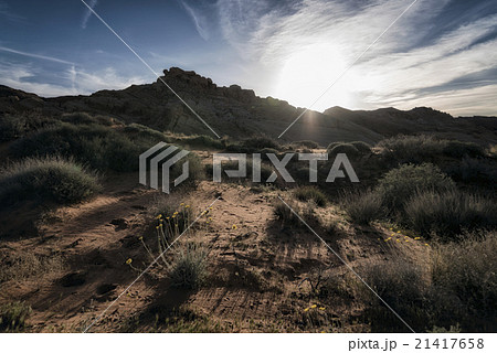 Landscape at Valley of the Fire State Park Landscape at Valley of the Fire State Park 21417658