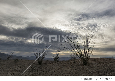 Landscape in the Anza-Borrego Desert 21417677