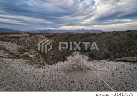Landscape in the Anza-Borrego Desert 21417679
