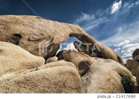 Joshua Tree National Park, California Joshua Tree National Park, California 21417690