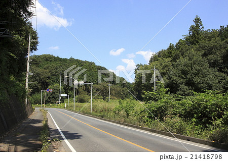 国道299号線（あじさい街道・飯能市内） 21418798