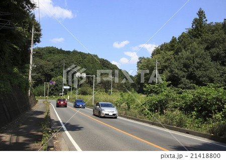 国道299号線(あじさい街道・飯能市内) 国道299号線(あじさい街道・飯能市内) 21418800