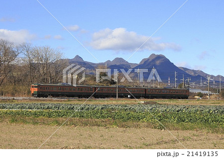 上越線高崎口の115系電車 21419135