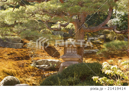 庭園 旧竹林院 庭園 旧竹林院 21419414