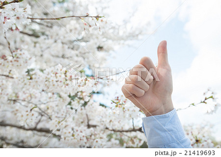 桜と手 21419693
