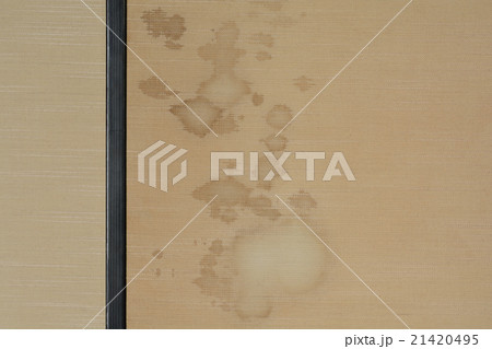 襖（汚れ） 21420495