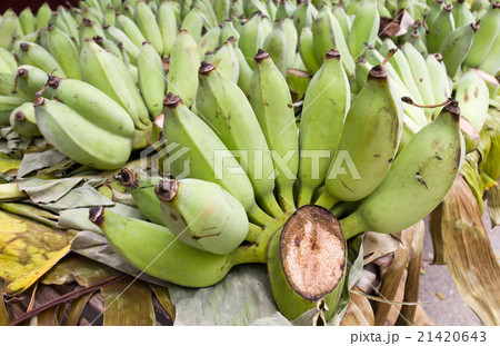 Heap of bananas Heap of bananas 21420643