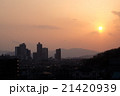 多摩境の夕日 21420939