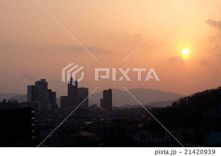 多摩境の夕日 21420939