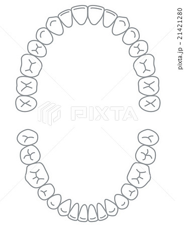 歯 歯並びのイラスト素材
