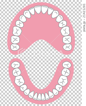 歯　歯並び 21421281