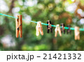 Wooden and plastic clothespins 21421332