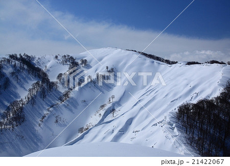 越後の冬山 21422067