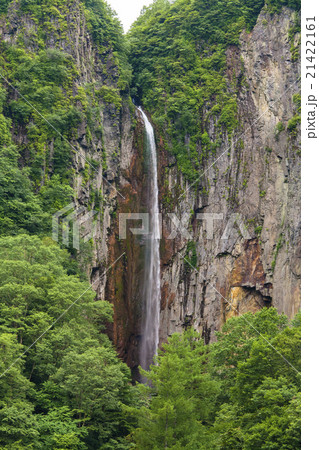 権現滝（縦） 21422161