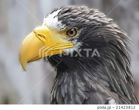 Steller's sea eagle on blurred background vector Steller's sea eagle on blurred background vector 21423812