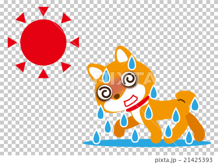 Very hot summer Shiba Inu 21425393