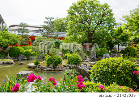 Fushimi Inari Taisha Shrine in Kyoto, Japan 21428039