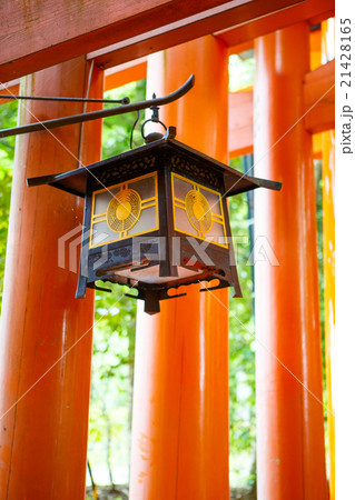Fushimi Inari Taisha Shrine in Kyoto, Japan Fushimi Inari Taisha Shrine in Kyoto, Japan 21428165
