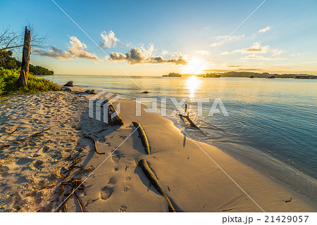 Golden sunrise 21429057