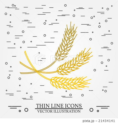 Ears of grain thin line design. Ears of grain thin line design. 21434141