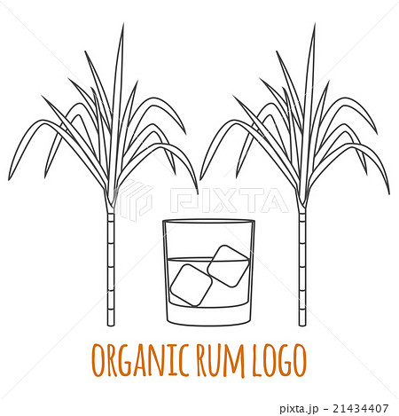 Modern line style logo, branding, logotype Modern line style logo, branding, logotype 21434407