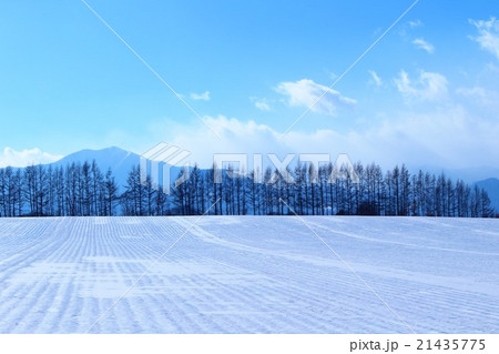 雪景色 十勝の写真素材