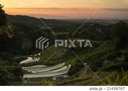 下赤坂棚田風景 21436767