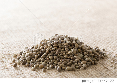 麻の実 21442177