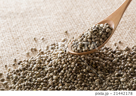 麻の実 麻の実 21442178