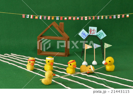 ピヨちゃんの運動会 21443115