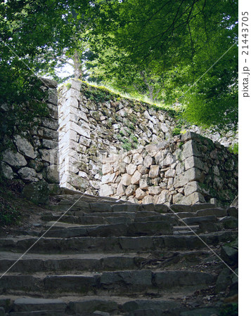 備中松山城 21443705