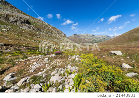 plateau on Kackar Mountains in the Black Sea plateau on Kackar Mountains in the Black Sea 21443933