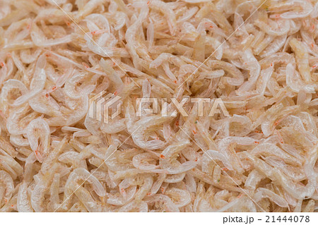 干し白エビ 干し白エビ 21444078
