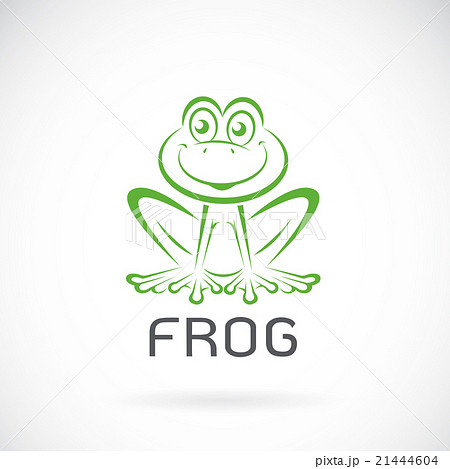 Vector image of a frog design on white background Vector image of a frog design on white background 21444604