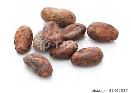 生カカオ豆 21445837