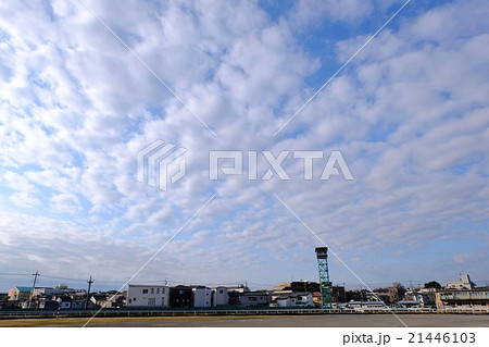 広がるいわし雲 広がるいわし雲 21446103