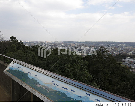 天覧山の山頂からの眺め(飯能市街・東京方面) 天覧山の山頂からの眺め(飯能市街・東京方面) 21446144