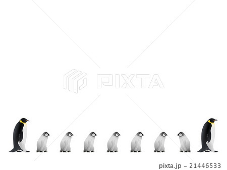 ペンギン4のイラスト素材
