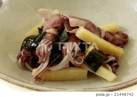 蛍烏賊 蛍烏賊 21446742