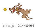 Jumping cheerful dog 21448494