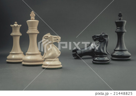 Black and White King and Knight of chess . 21448825