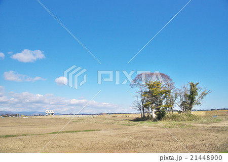 震災後　5年後の南相馬市 21448900