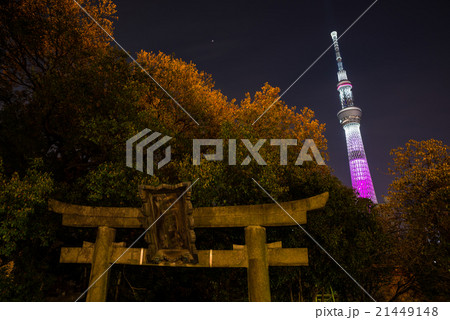 三囲神社と東京スカイツリー 東京都墨田区向島 21449148