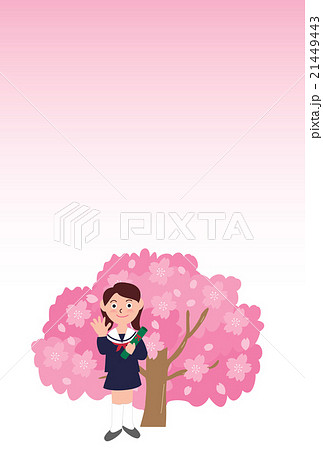 卒業式のセーラー服の女の子と桜のポストカードのイラスト素材