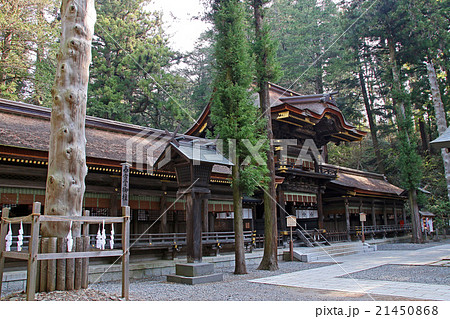 諏訪大社下社春宮 21450868