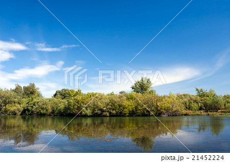 Landscape with water and forest front view Landscape with water and forest front view 21452224